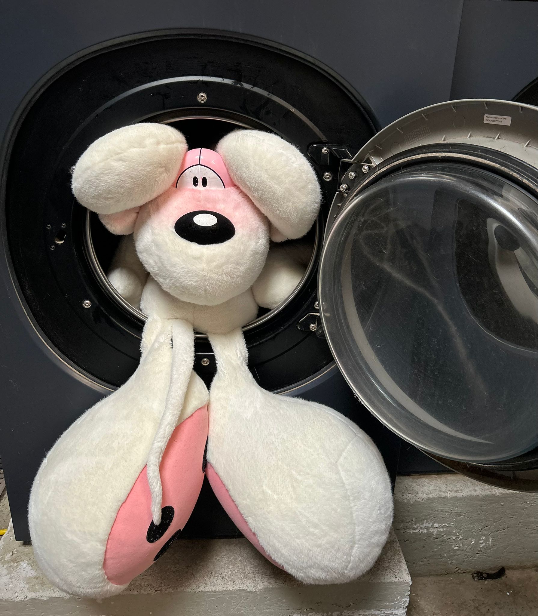 About Gallery Image 2